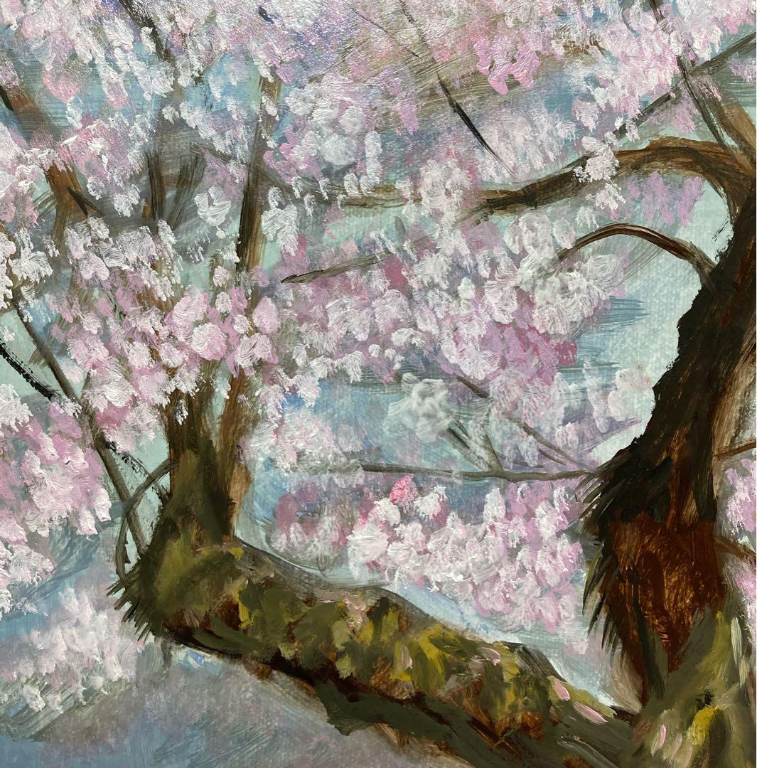 油彩画　「　さくらとこぼれ陽　」　原画　F6号