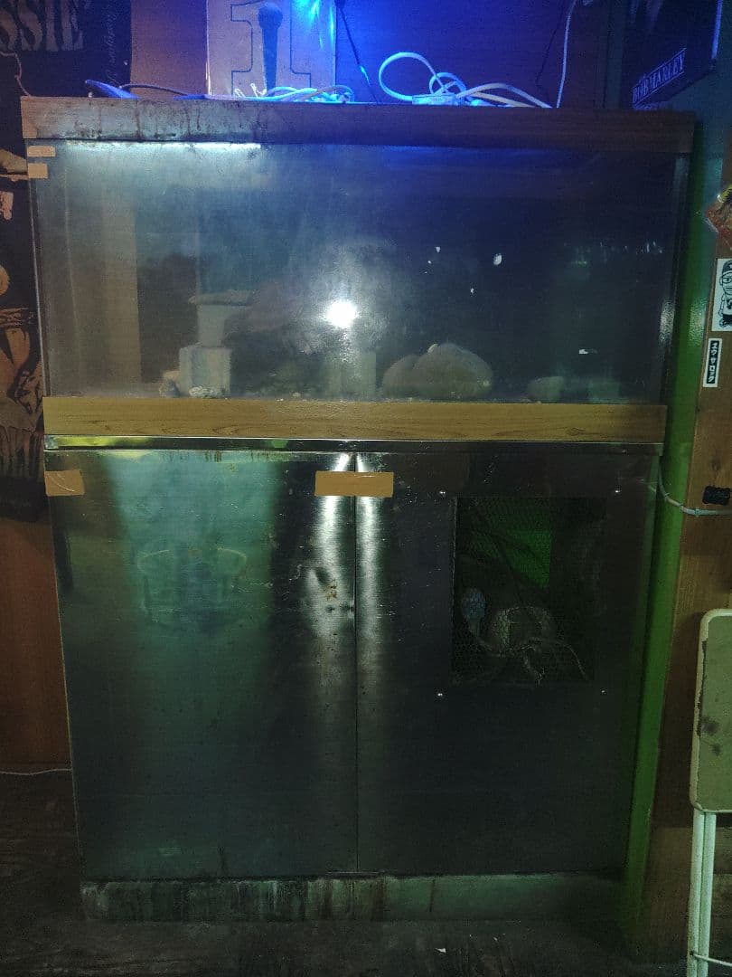 活魚用水槽　冷却機付き