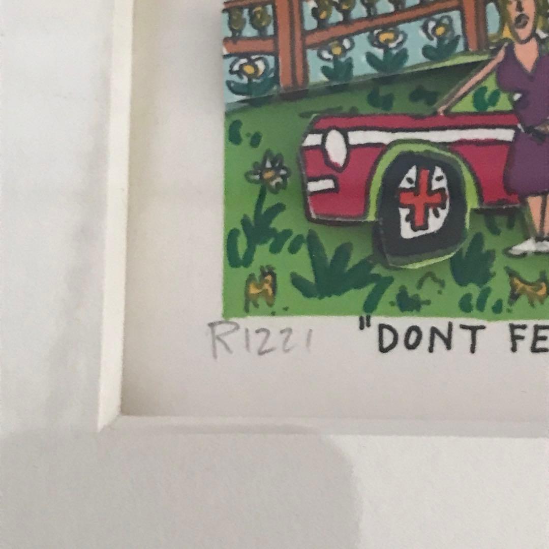 ジェームスリジィ DON’T FENCE ME IN 90’ 3D 特別額装