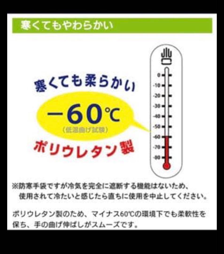 防寒テムレスLサイズ　　8点セット
