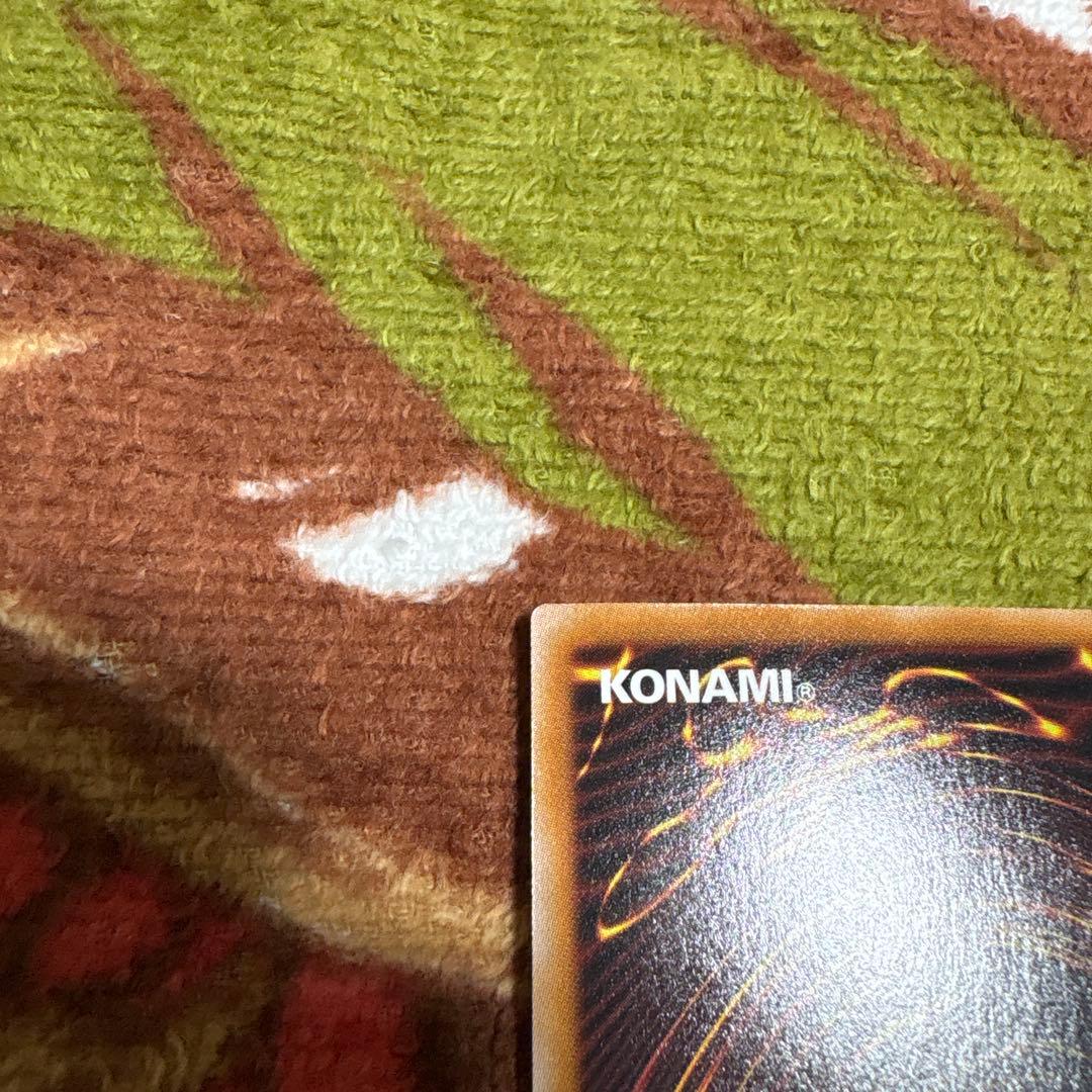 白き竜の落胤　プリシク