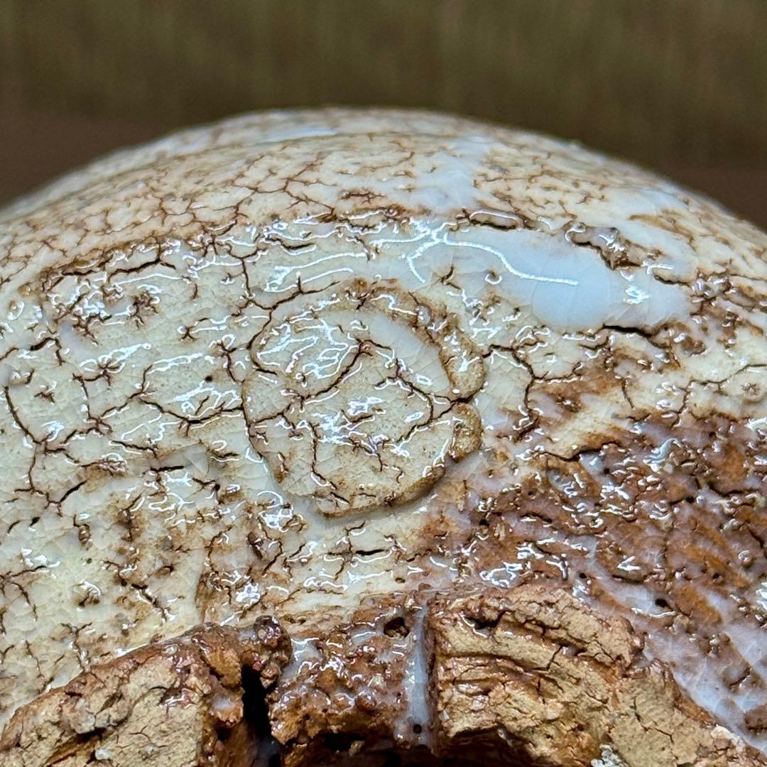 萩焼 原田隆峰 長沢窯 鬼萩 茶碗 抹茶碗 茶道具 共箱 #0828002