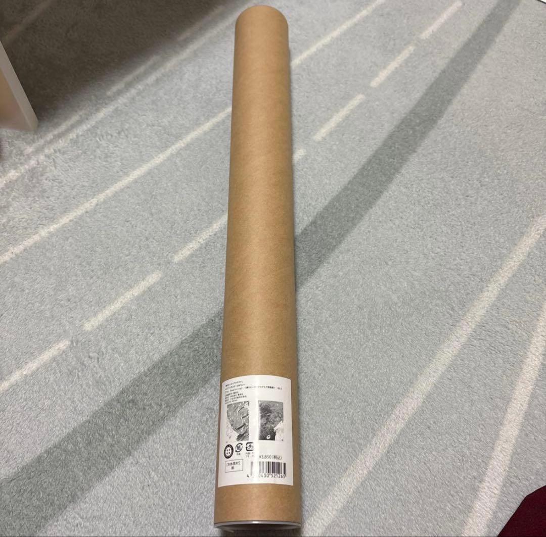 k*u様 ヒロアカ 原画展 A2 アートポスター 2枚セット The Begin