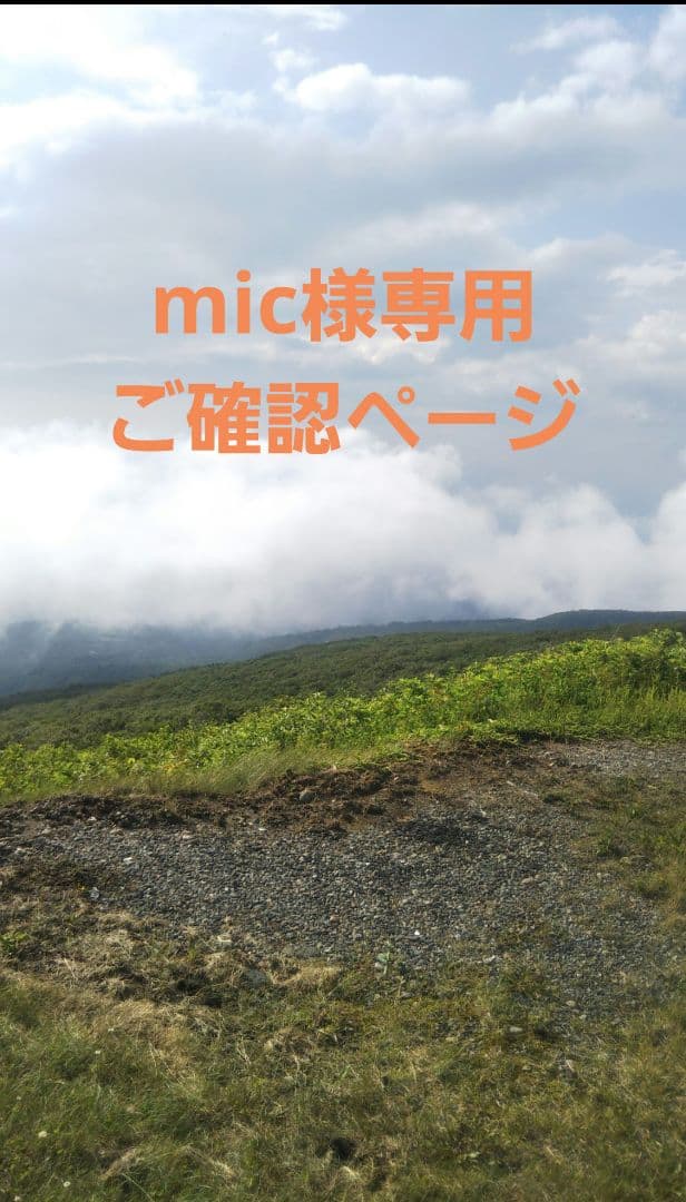 呪術廻戦　micご確認ページ