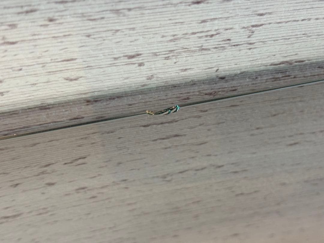 超希少　イギリス　アンティーク　ガラスキャビネット　ショーケース　猫脚　IZZ