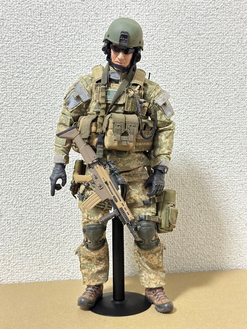 1/6 ミリタリー　カスタム　フィギュア　hottoys