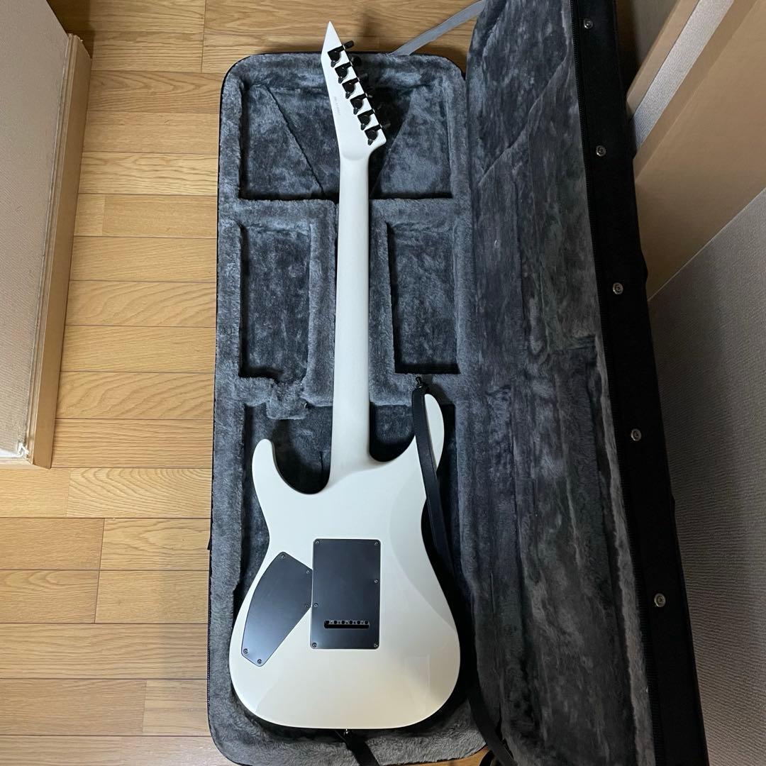 グラスルーツ HORIZON エレキギター ※ハードケース付き