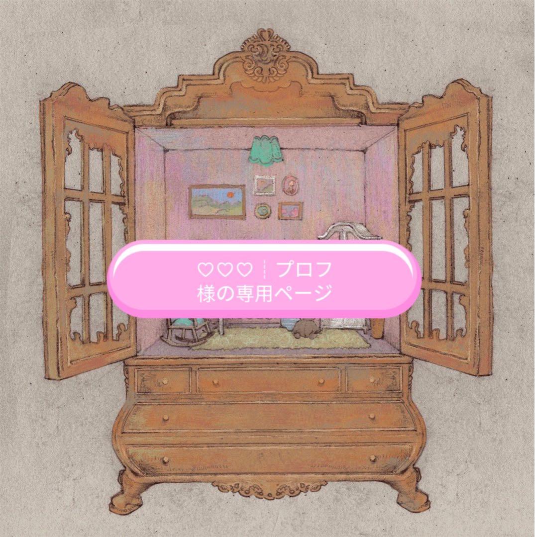 ♡♡♡┊︎プロフ様の専用ページ