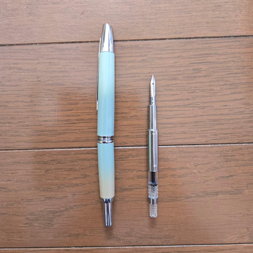 キャップレスデシモ 東川崎ハーバーミント シルバー・F