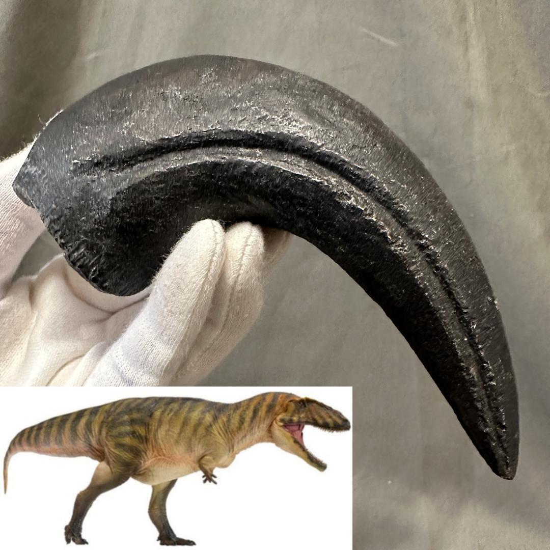 カルカロドントサウルス ハンドクロウ かぎ爪 化石 肉食恐竜 獣脚類 1516