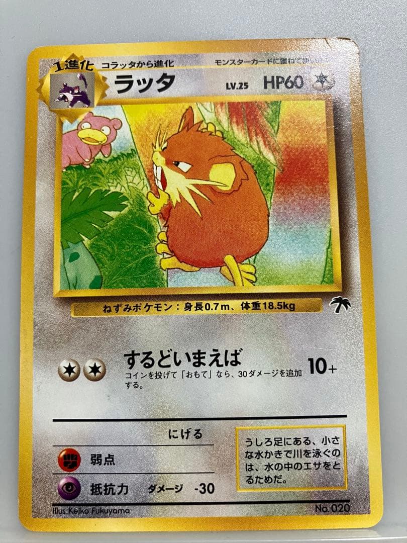 トゲピー フシギソウ　ラッタ　映画公開記念パック サザンアイランド　お花畑編