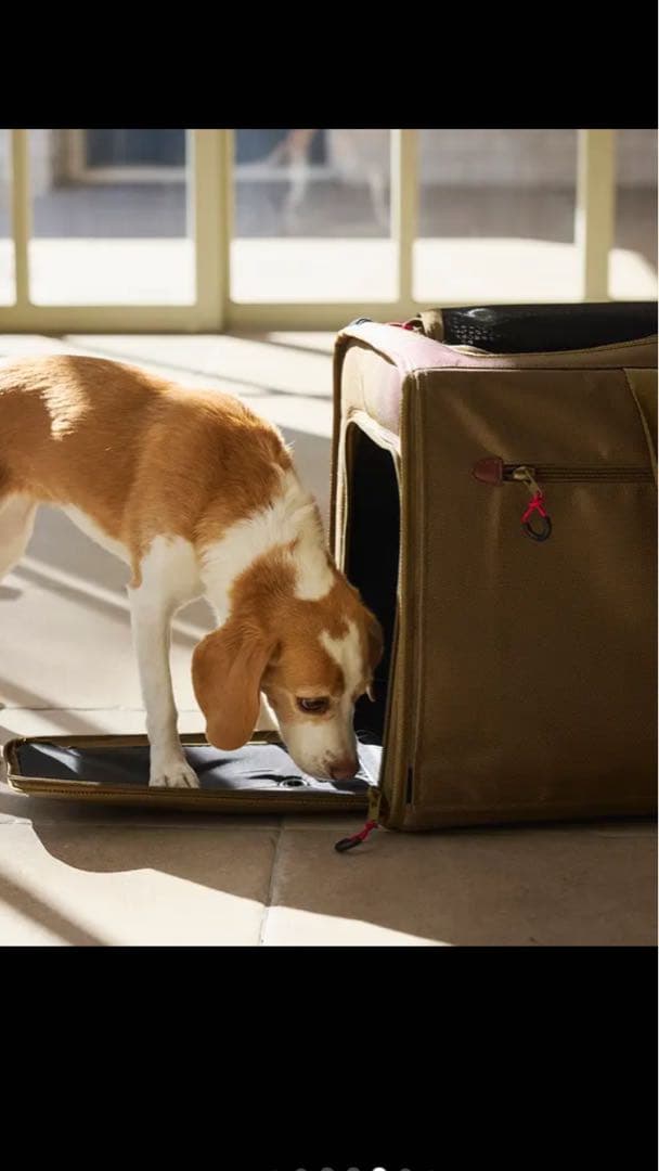 BRIXTON CARRY BACKPACK ブリクストンキャリーバックパック