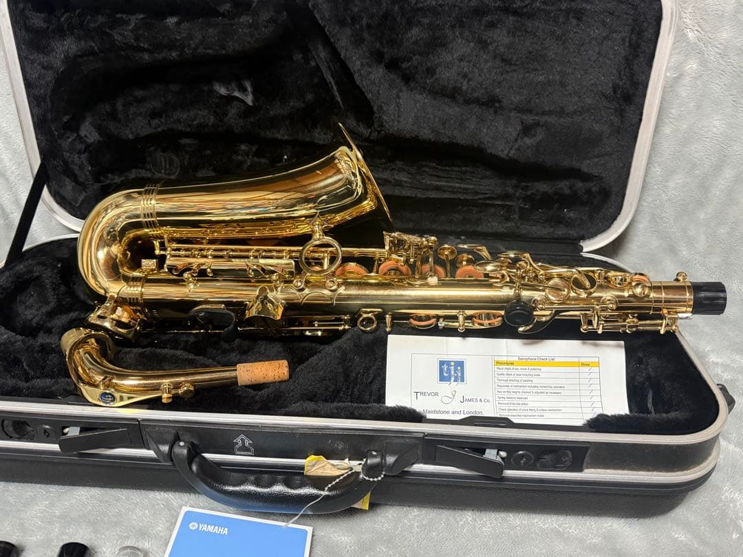 美品 トレバージェイムス アルトサックス THE HORN Revolution