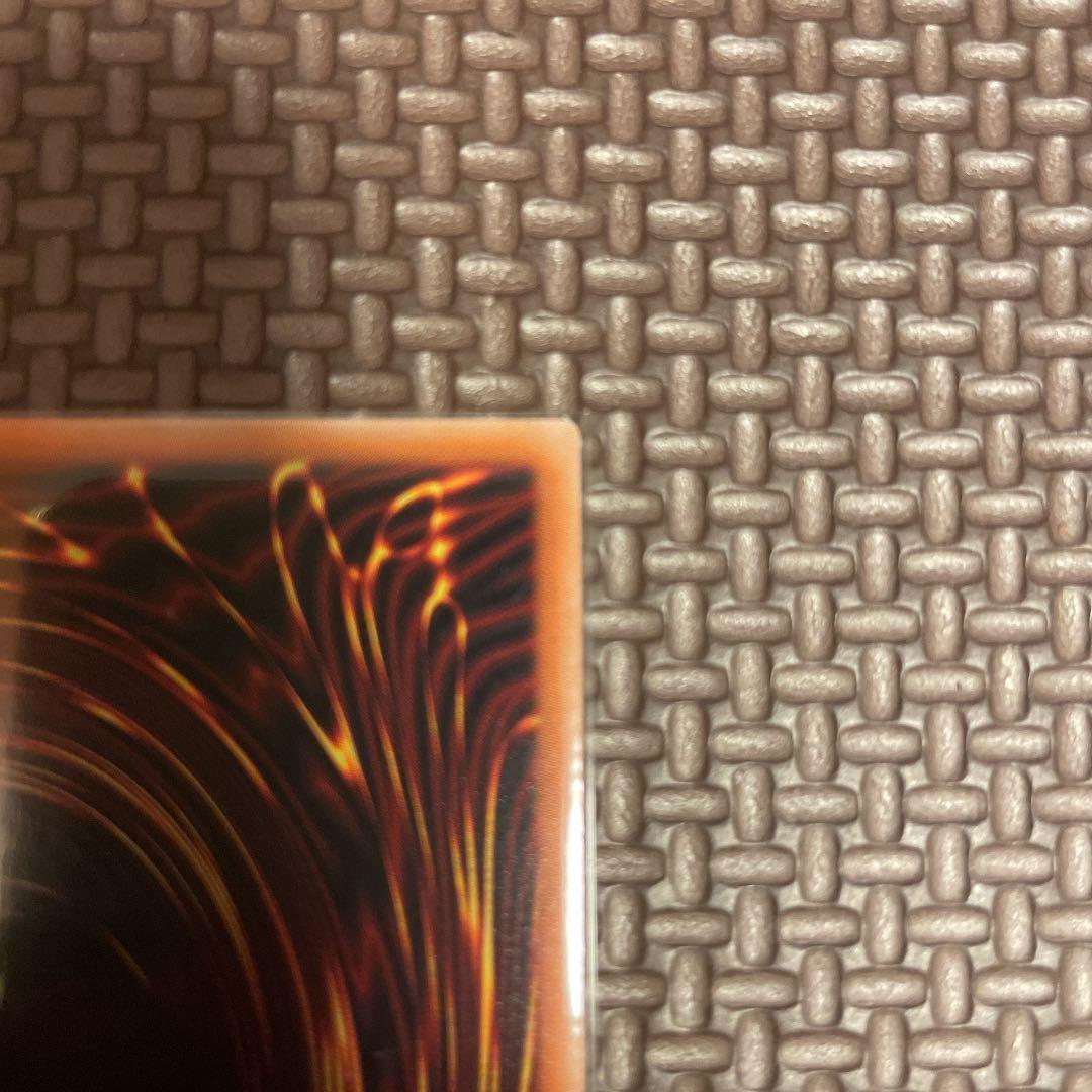 【完美品級】ブラックフェザー・ドラゴン プリシク