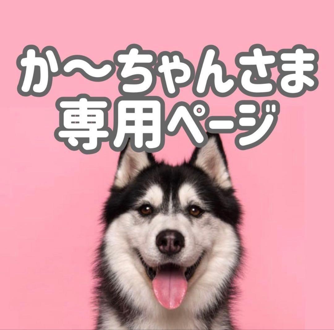 bサ18◯● か～ちゃんページ●◯