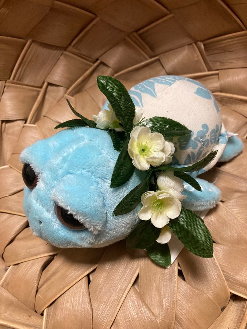 ハワイ ホヌ ぬいぐるみ セット モアナサーフライダー セット ウミガメ