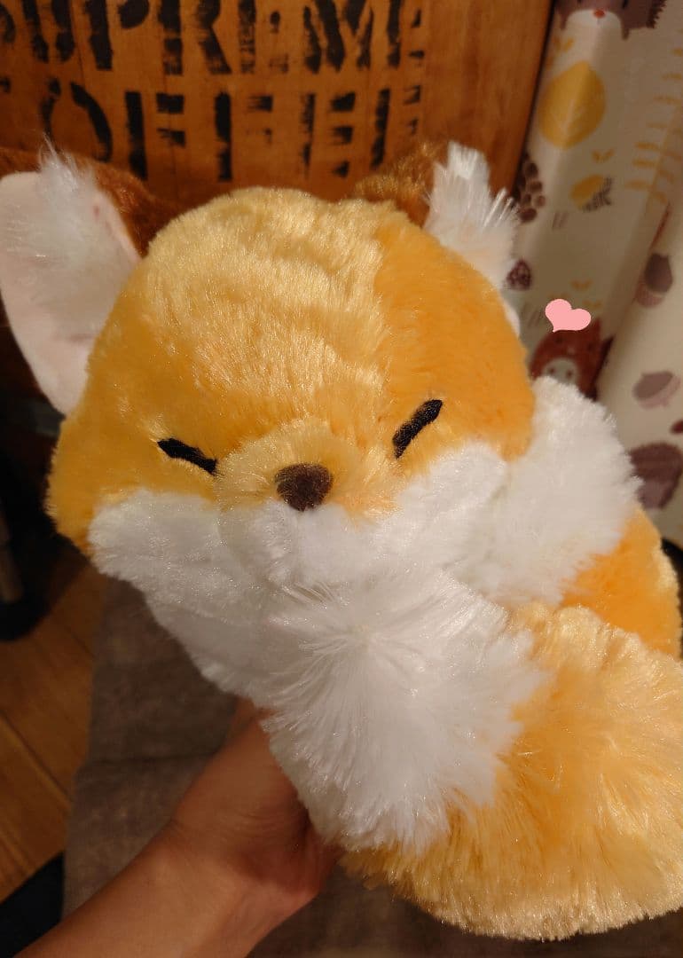 ちょコンとキツネ くるんとおねむ きなこ JB