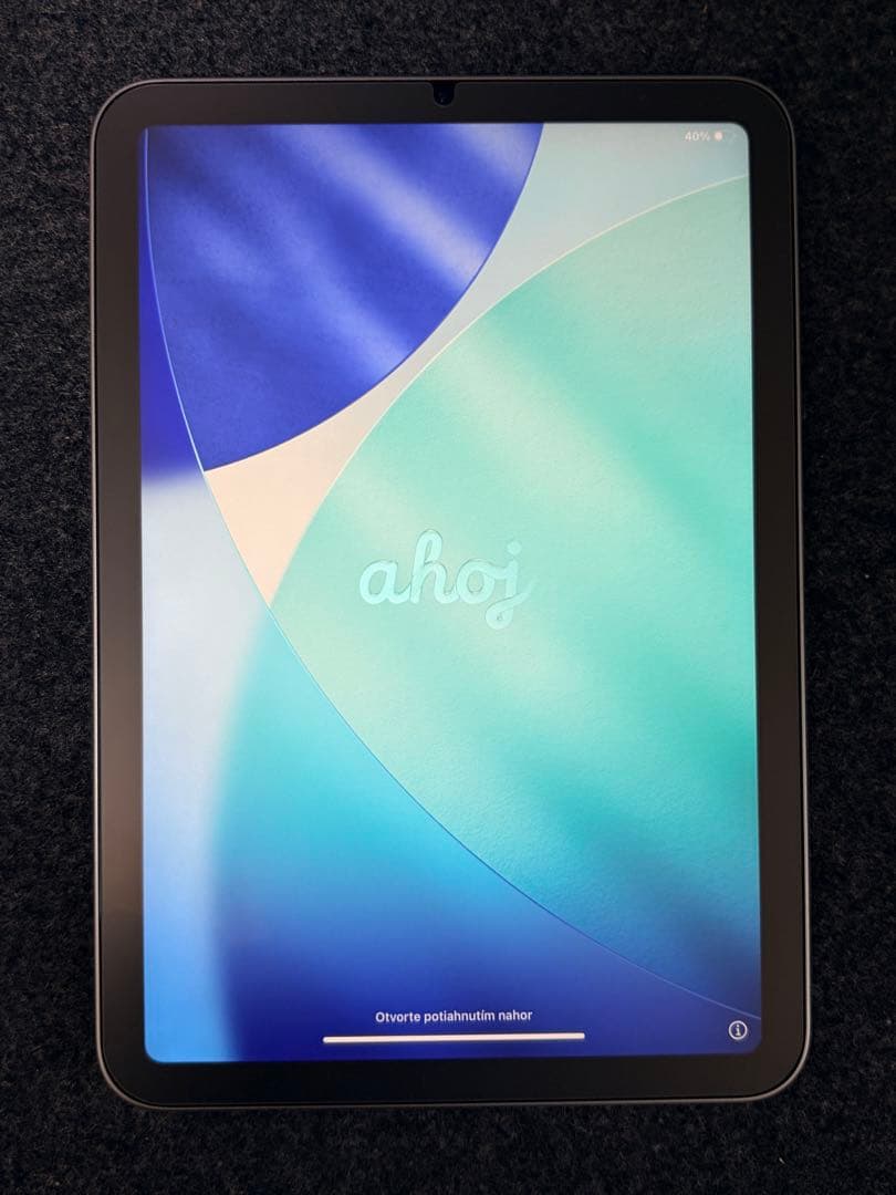 iPad mini (A17 pro) 128GB スペースグレー カバー付き