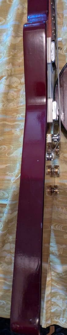 H*e様 HOLLY　エレキギター エクスプローラータイプ 希少品 早いもの勝ち