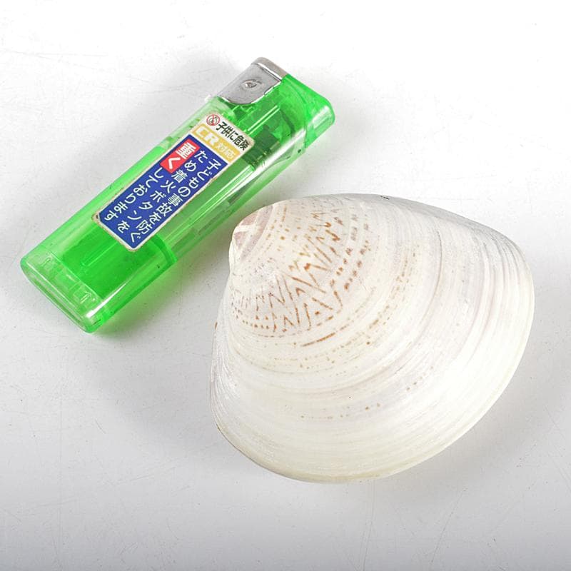 茶道具　塗師　中村宗哲作　老松蒔絵　蛤香合　裏千家十五代鵬雲斎極箱　MR5268