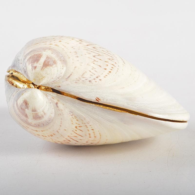 茶道具　塗師　中村宗哲作　老松蒔絵　蛤香合　裏千家十五代鵬雲斎極箱　MR5268