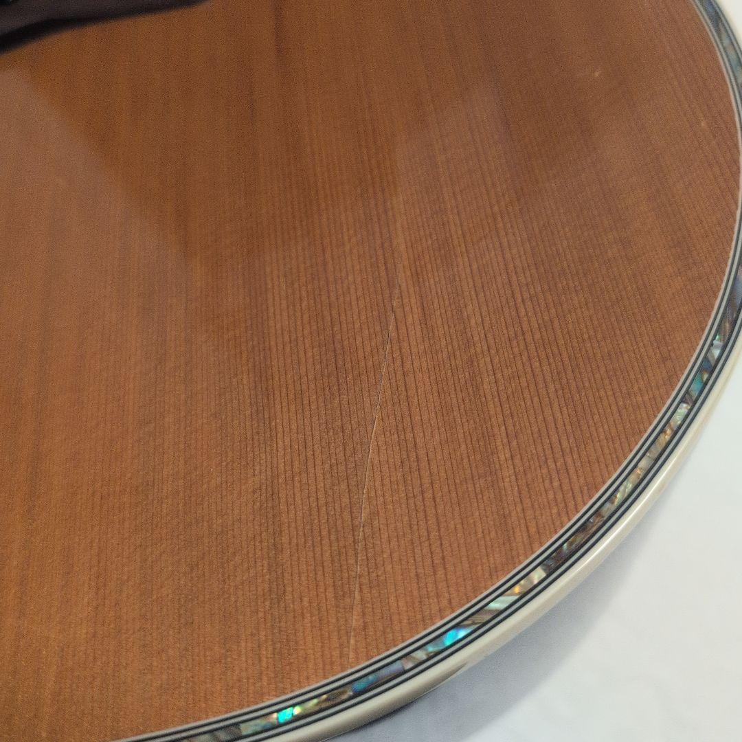 Greg Bennett / OM8CE トップ単板 エレアコ 美品