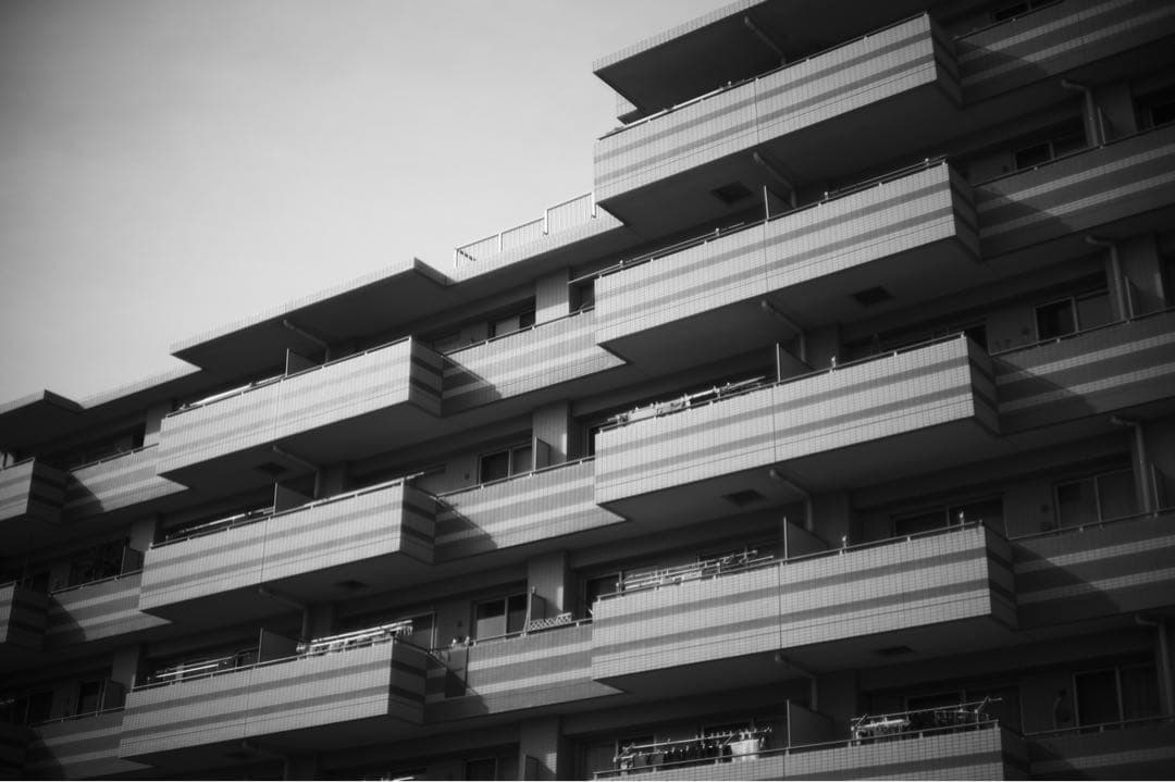 【付属品あり】Leica ズミルックス Summilux 50mm 1st 前期