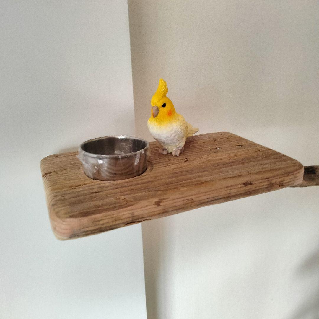 バードアスレチックジム大型 ㊹ 天然木 自然木 流木 止まり木 インコ オウム