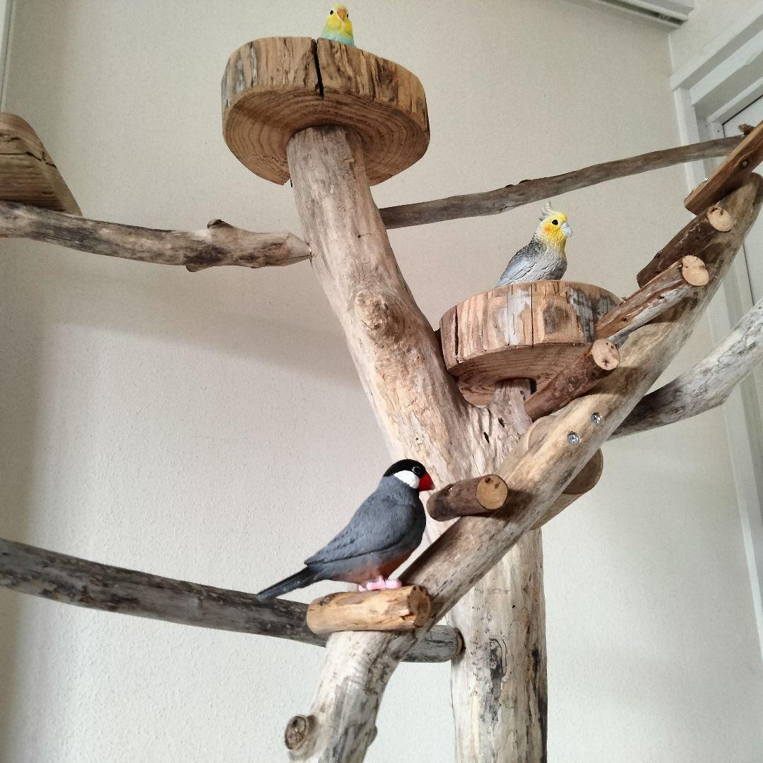 バードアスレチックジム大型 ㊹ 天然木 自然木 流木 止まり木 インコ オウム