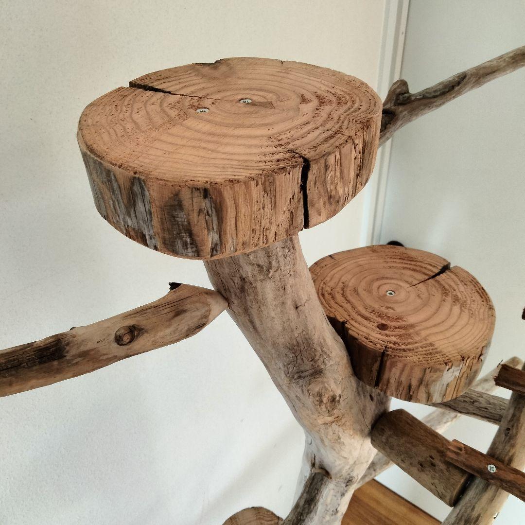 バードアスレチックジム大型 ㊹ 天然木 自然木 流木 止まり木 インコ オウム