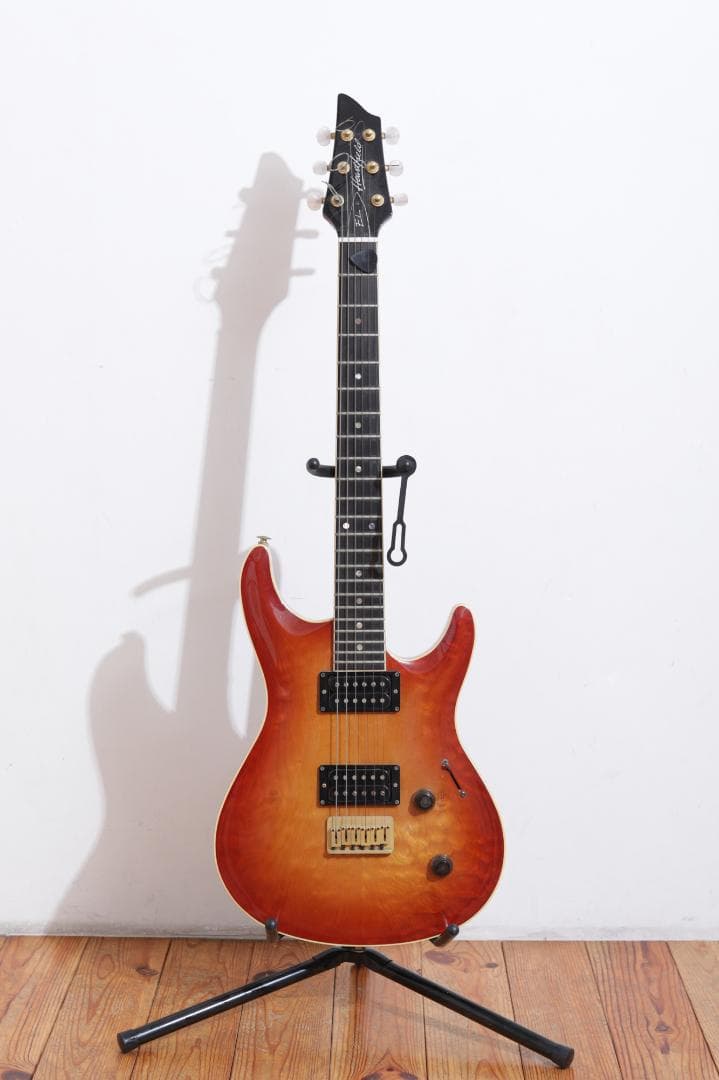 HeartField ELAN EL-I（専用ソフトケース付き）