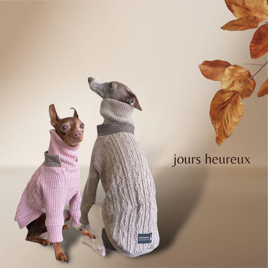 ①ジャズネップアランニット