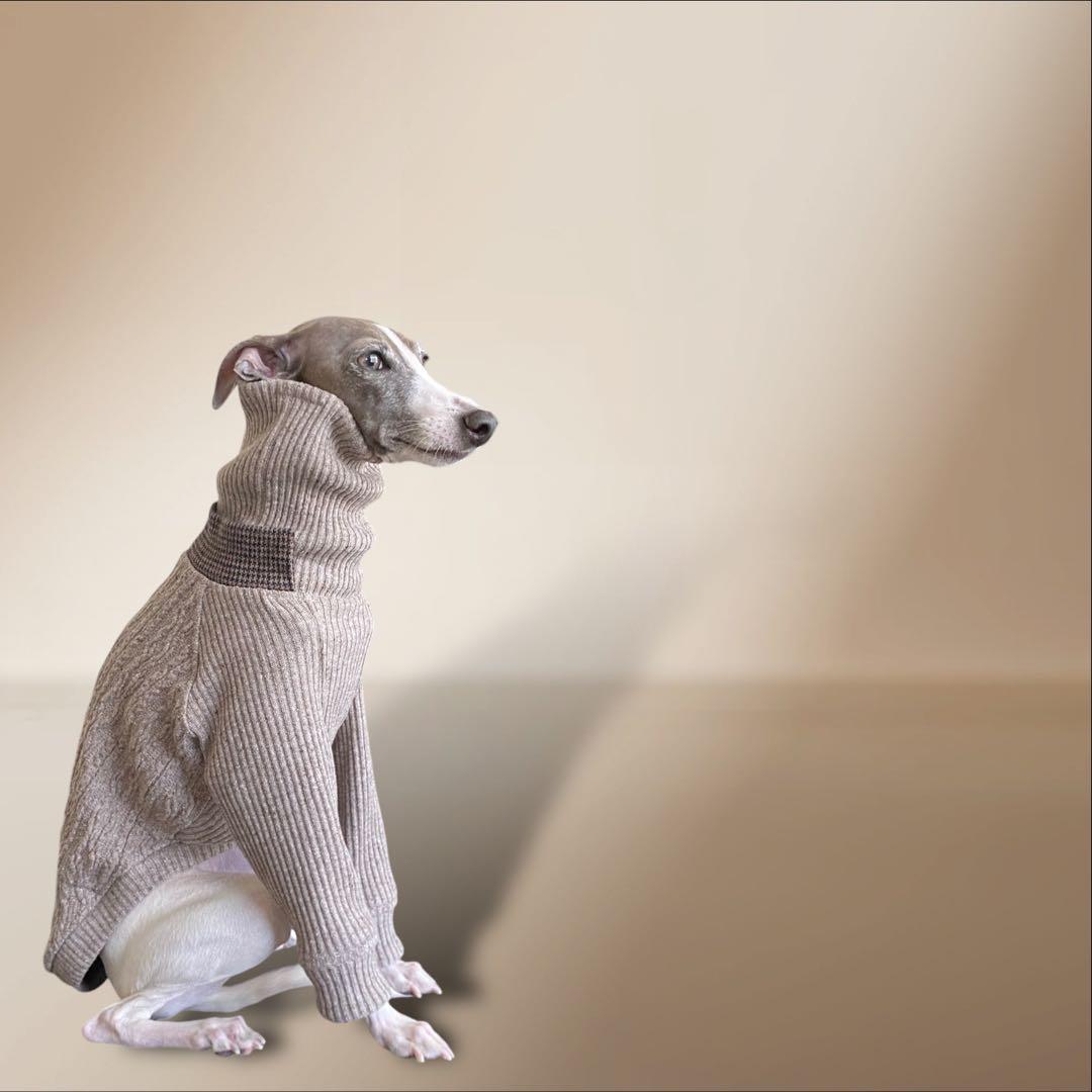 ①ジャズネップアランニット