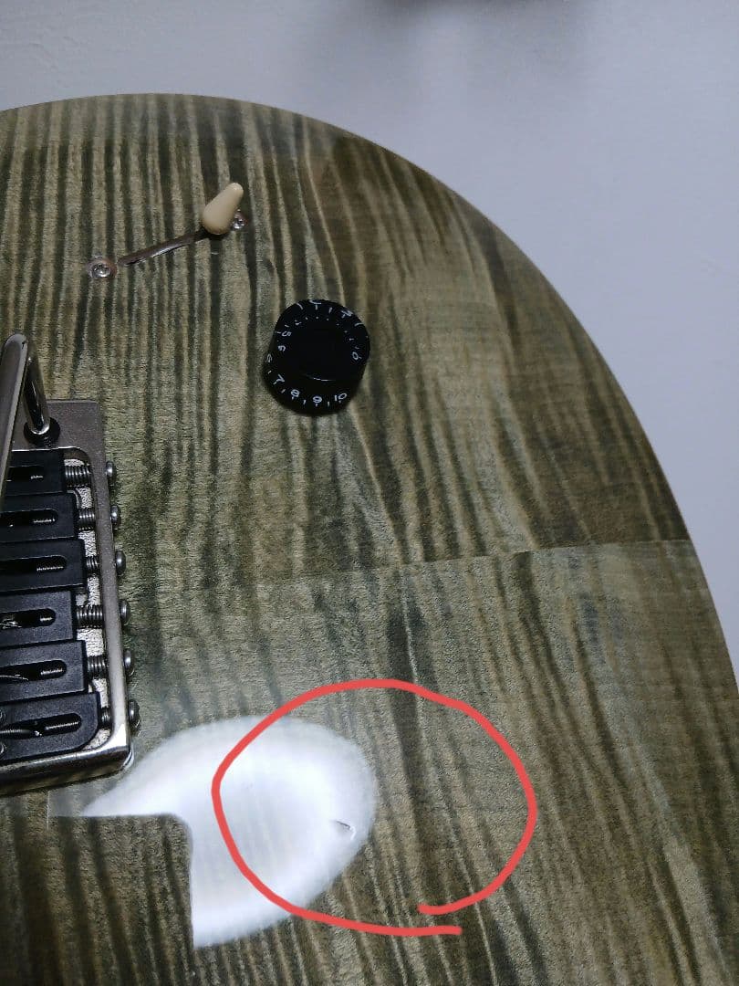 PRS　SE Custom 24 エレキギター グリーン