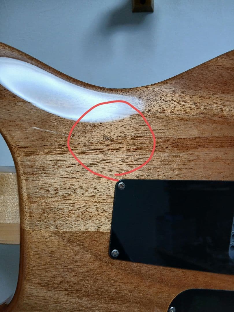 PRS　SE Custom 24 エレキギター グリーン