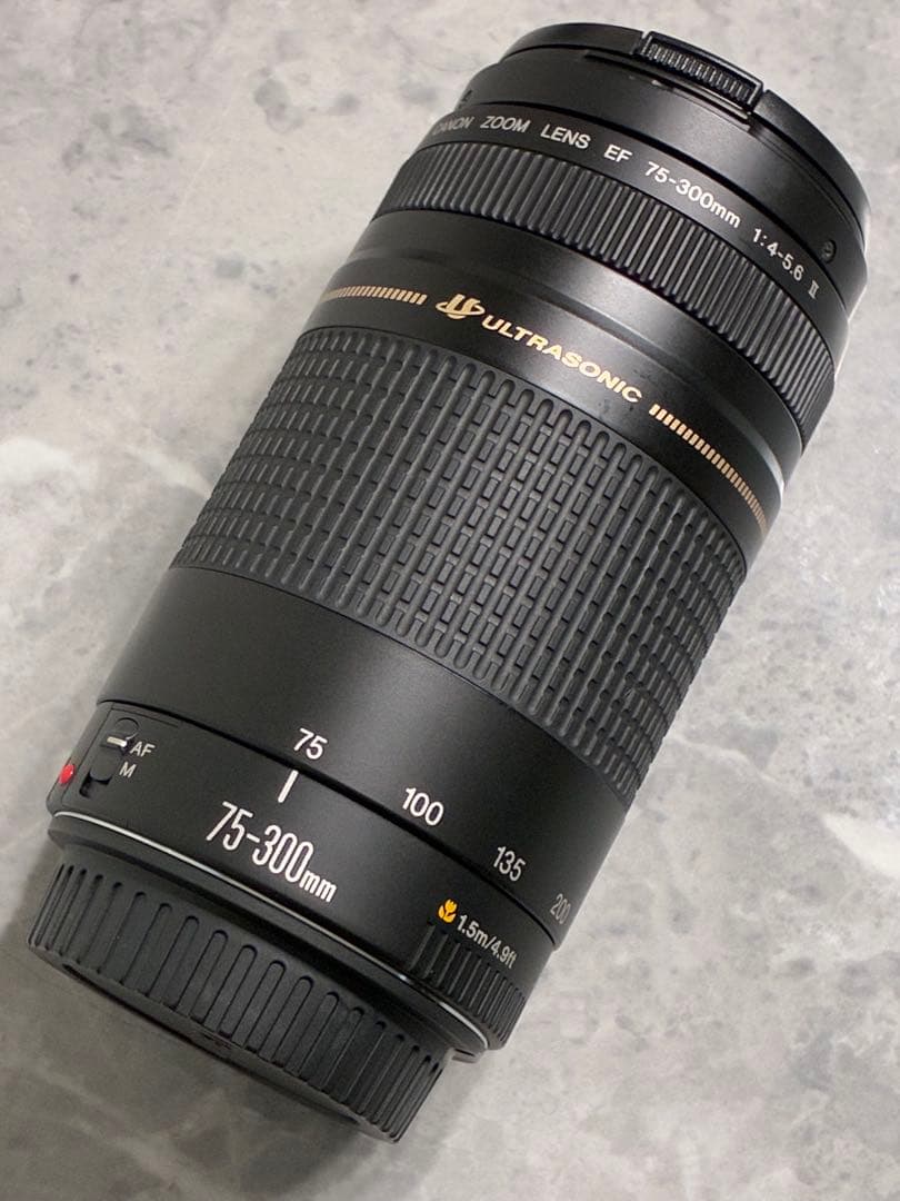 ⭐️美品⭐️Canon EF 75-300mm F/4-5.6 II USM
