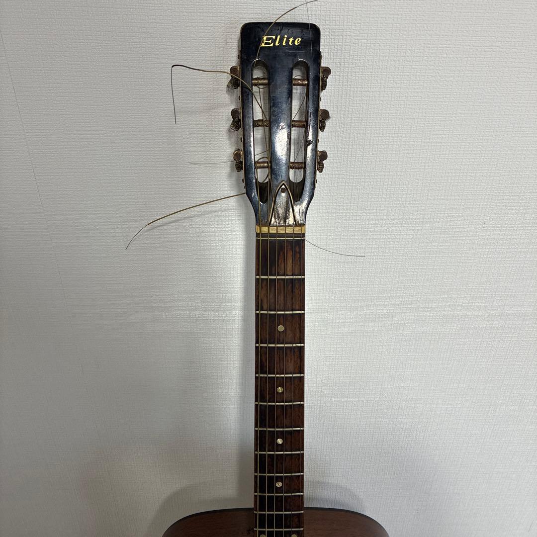 Elite アコースティックギター F1 ハードケース付