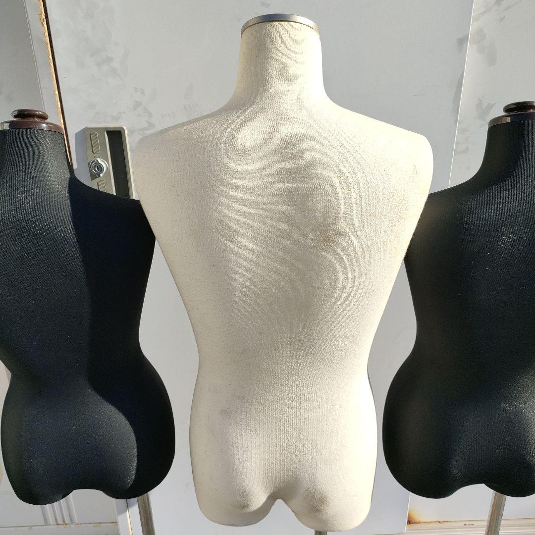 トルソー 1体 どれか選んでください