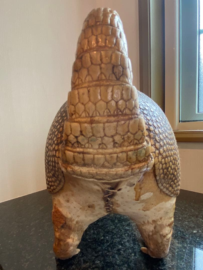 アルマジロ剥製 置物 インテリア 置き物 哺乳類 被甲目 標本 オブジェ 珍獣