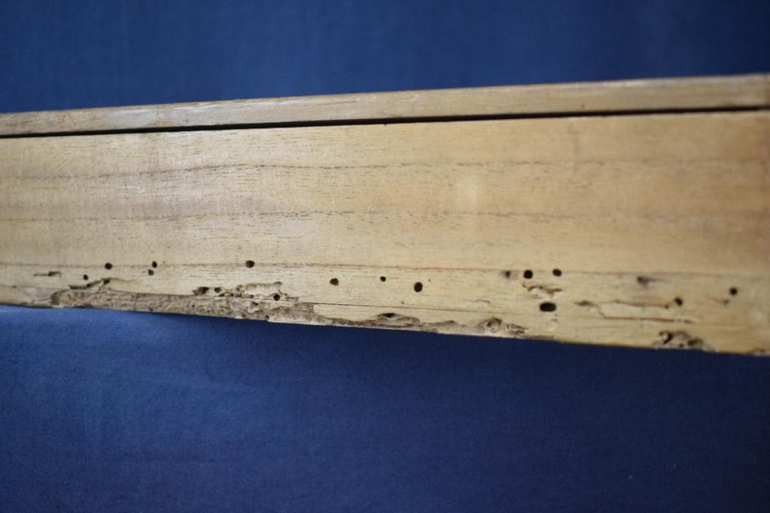 【真作】横山清暉/秋景帰漁図/秋雨人物図秋景山水図/掛軸☆宝船☆Y-726　JM