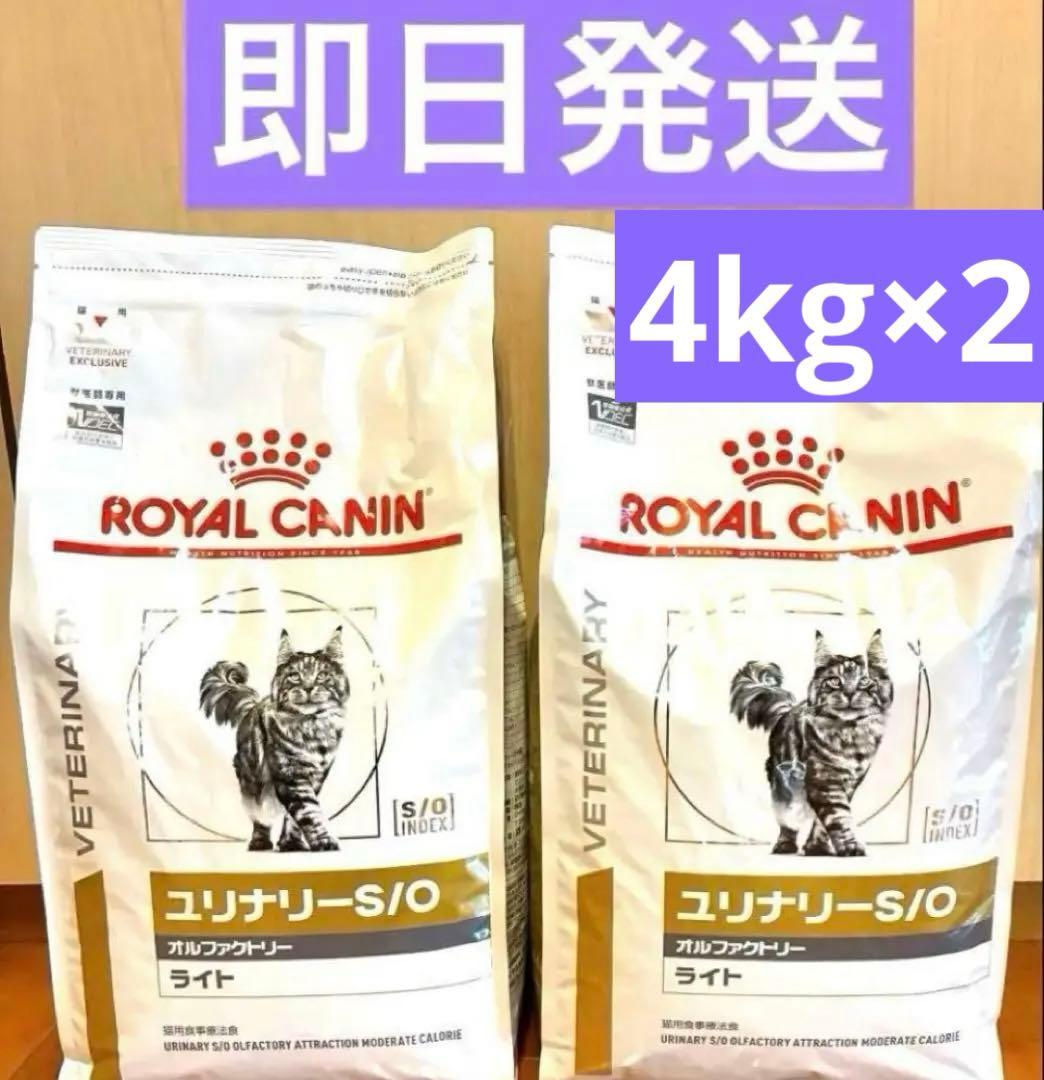 ロイヤルカナン ユリナリーS/O オルファクトリー ライト4kg×2 猫用