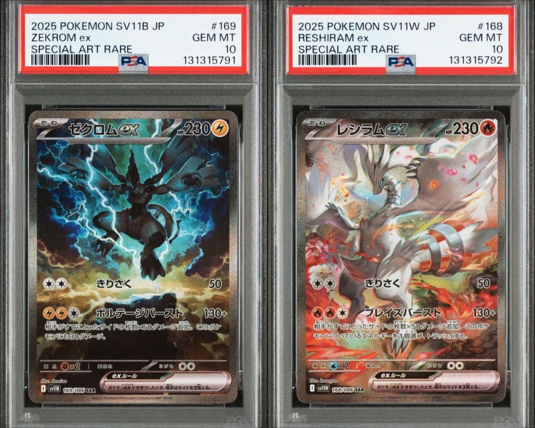 ゼクロムex・レシラムex　SAR　PSA10　2連番