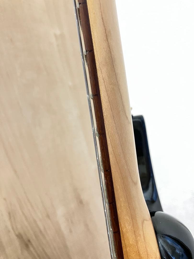 Aria Pro Ⅱ　MAGNA Series　アリアプロ　マグナ　シリーズ