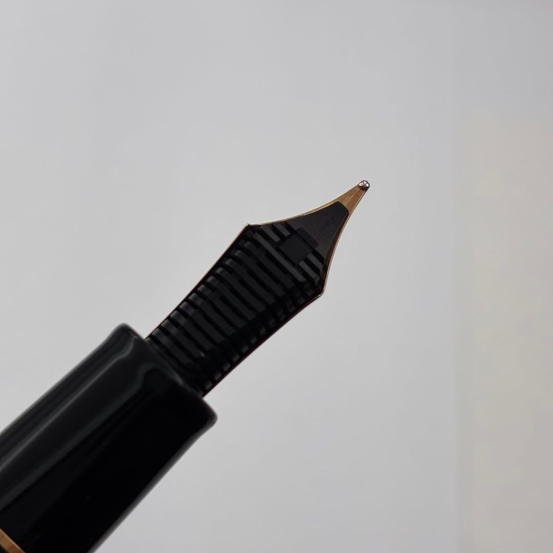 SAILOR セーラー万年筆 プロギア 黒 漆 螺鈿 桜 21K B 太字