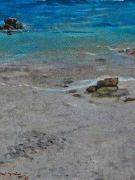 スカルノ大統領所蔵、南海の浜辺、希少画集画、新品額装付