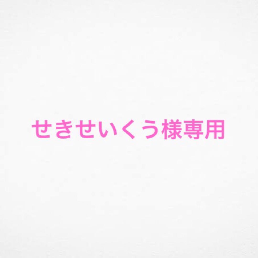 せきせいくうページ