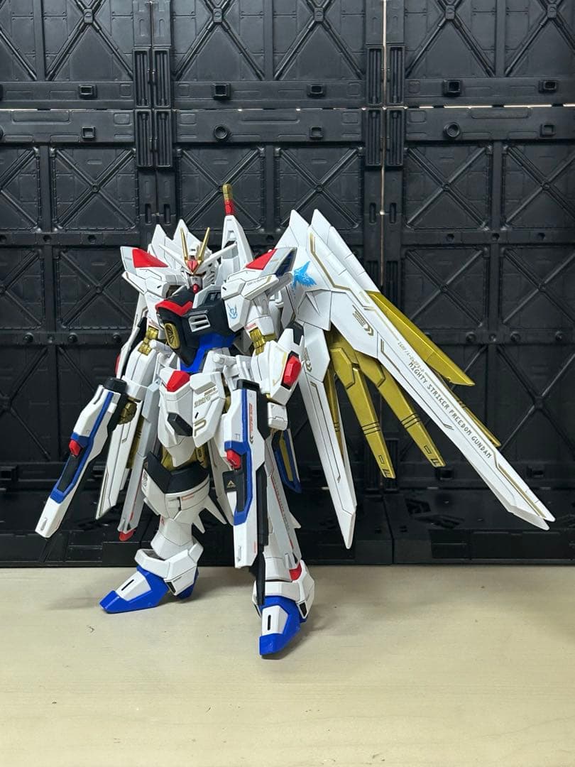 マイティーストライクフリーダムガンダム　塗装完成品　部分塗装　HG
