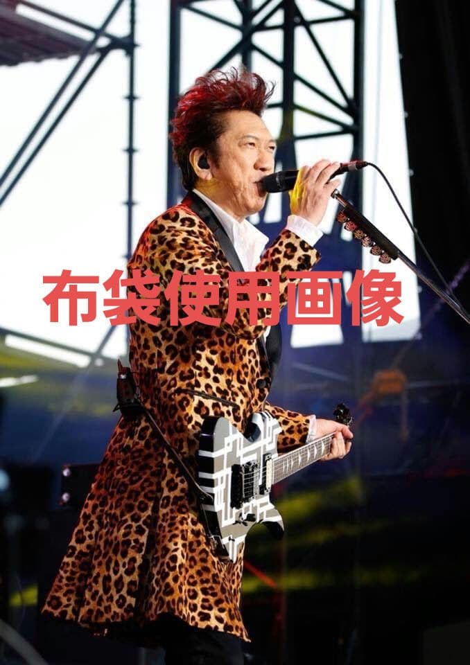 【良・美品】Gラインペイント・hide/布袋モデル。モッキンバードエレキギター。