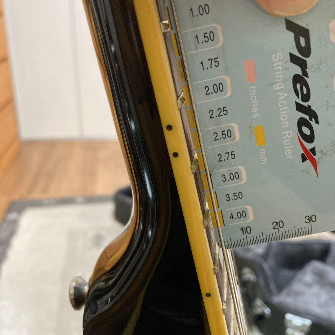 羊*様 Epiphone Casino Bigsby ハードケース付き美品 送料