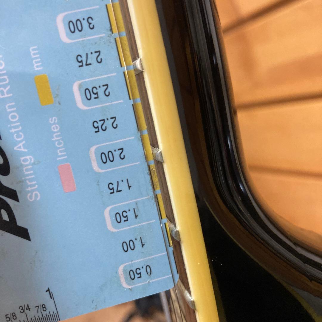 羊*様 Epiphone Casino Bigsby ハードケース付き美品 送料